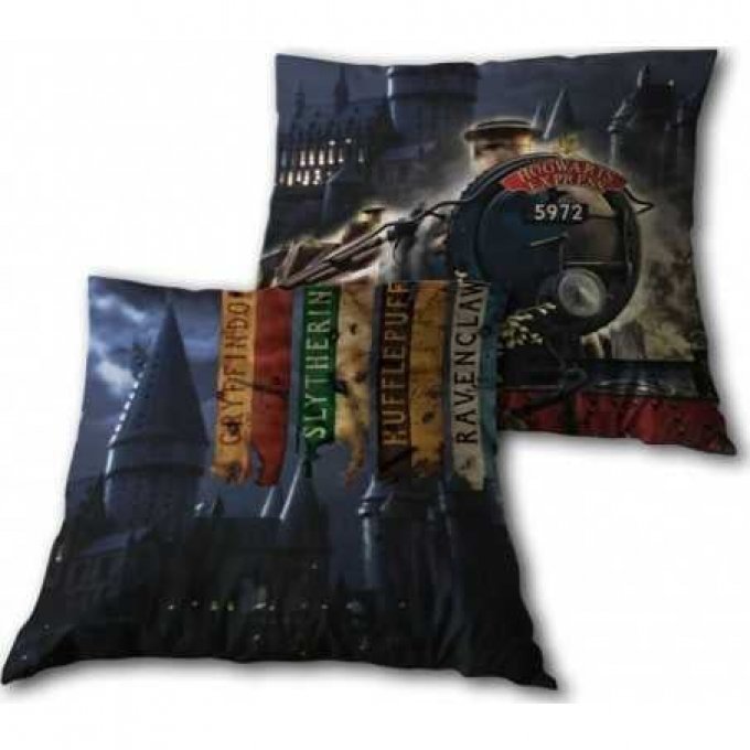 COUSSIN HARRY POTTER